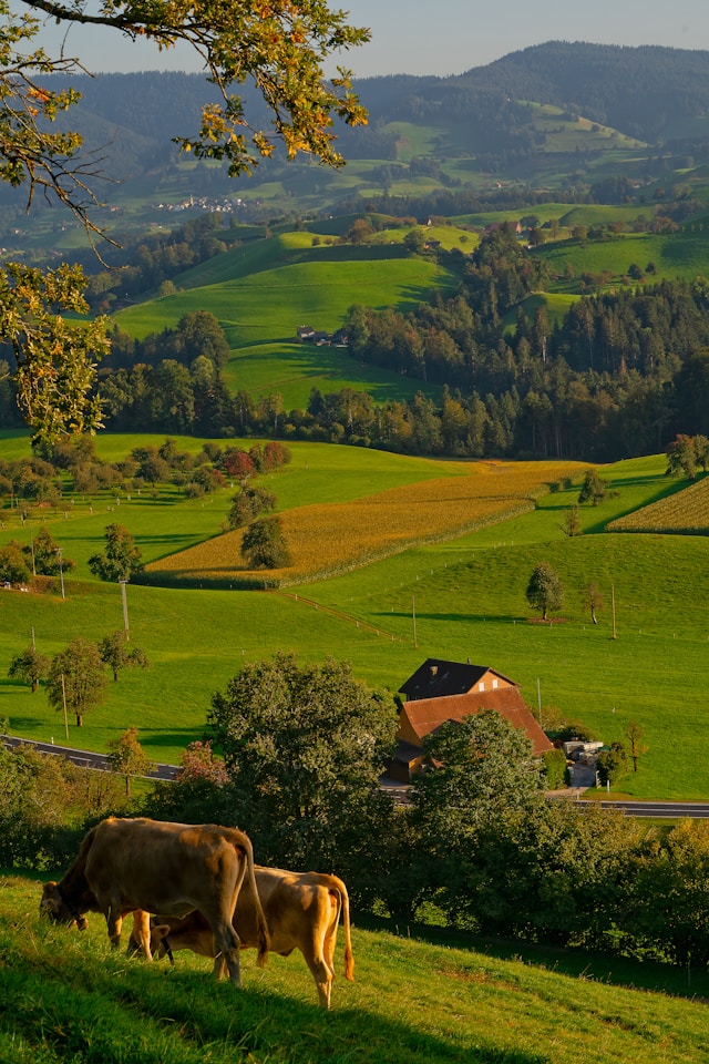 جمعية البر الخيرية بمغيب